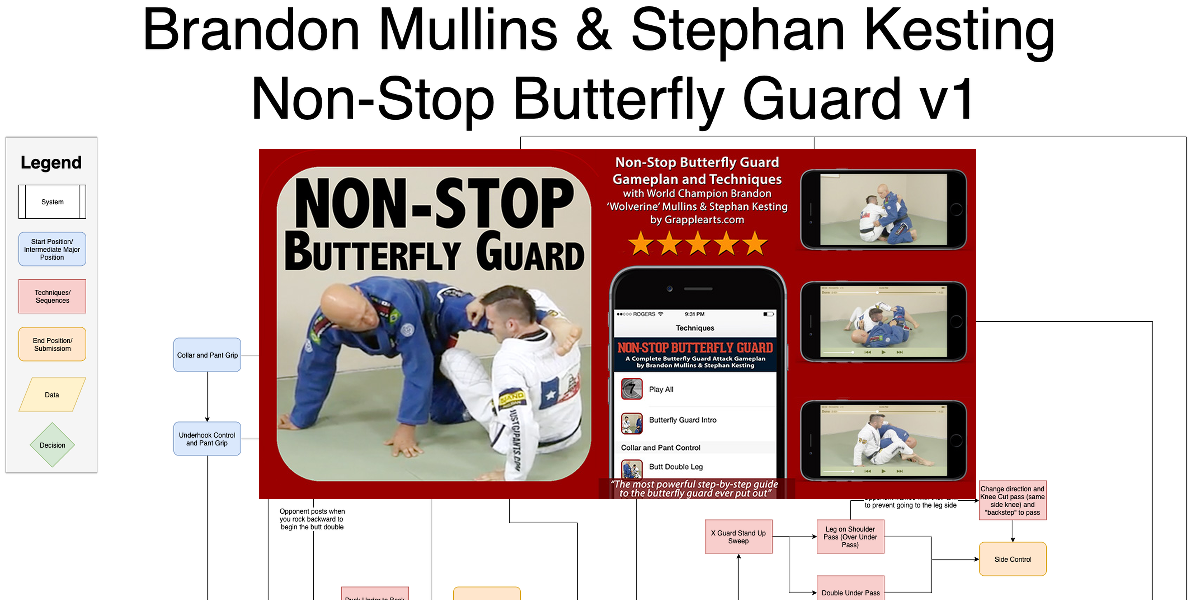 Brandon Mullins & Stephan Kesting - Non-Stop Butterfly Guard Flowchart v1